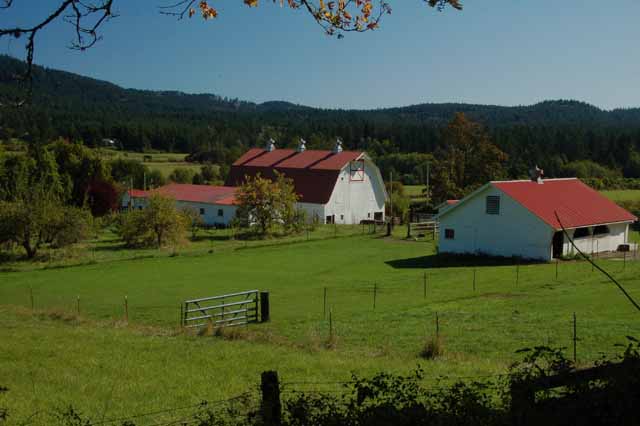 Orcas countryside